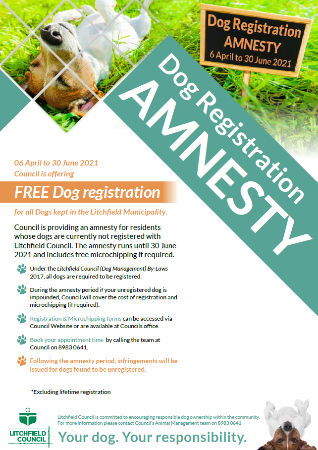 Dog Registration Amnesty Litchfield Council